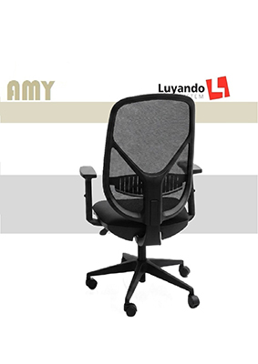 AMY-PORT-new